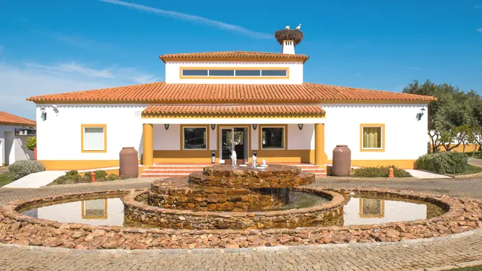 Vila Galé Alentejo Vineyards