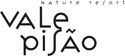 Vale Pisão