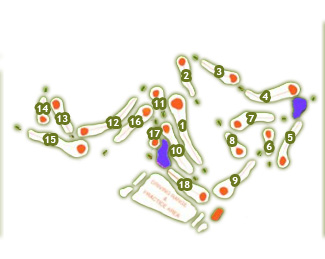 Course Map